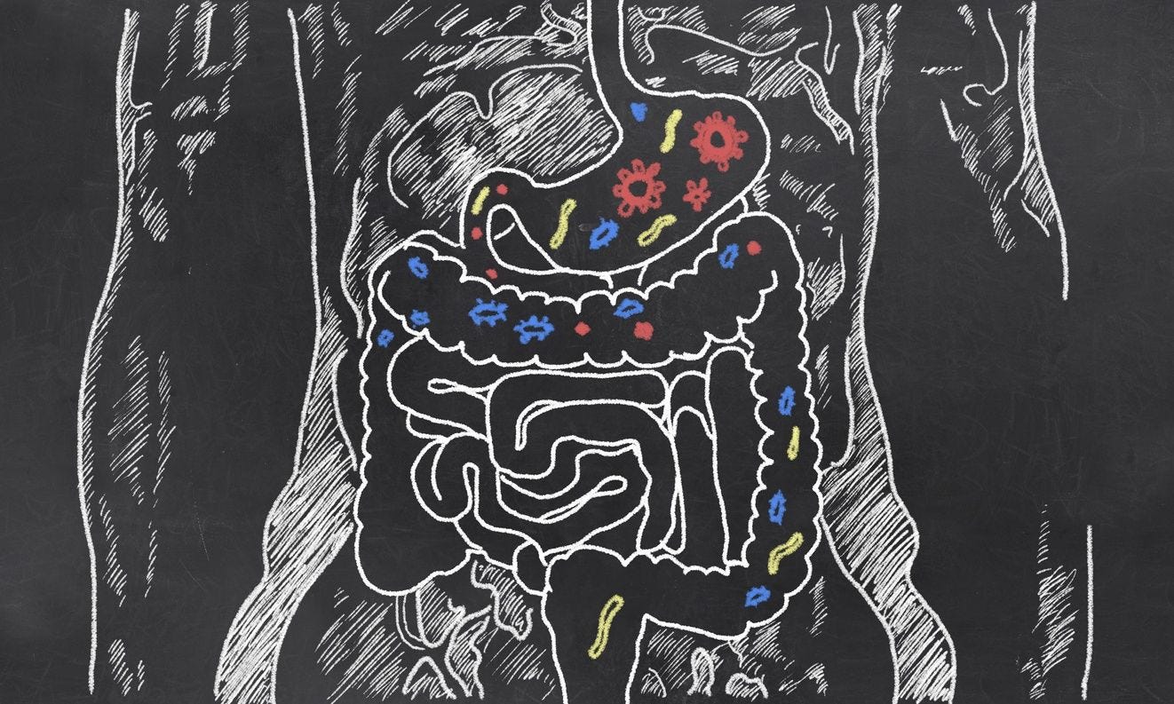 5 Steps to a Healthier Gut
