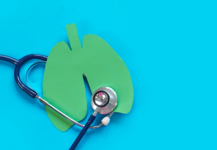 Green Paper Cutout of Lungs on Blue Background with Stethescope 