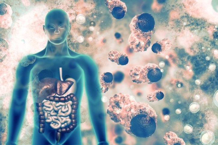 Dozens of New Gut Bacteria Discovered