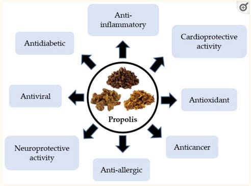 Propolis Benefits