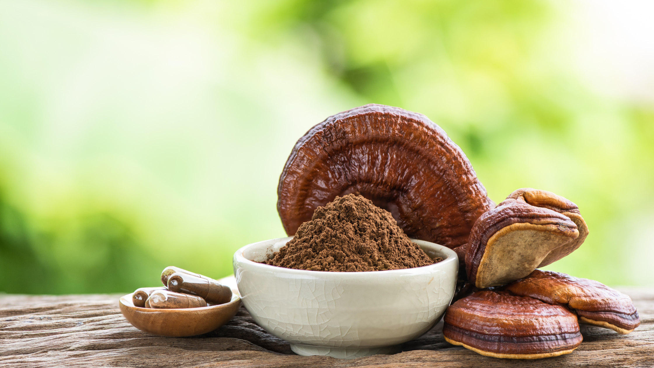 Reishi Mushroom Powder