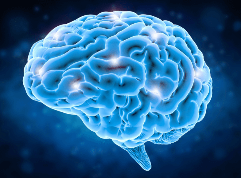 Brain on Blue Background