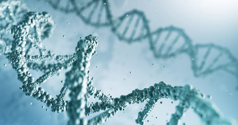 Nucleotides: Can They Boost Your Immune Function? 