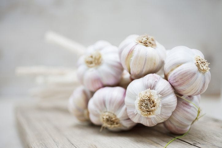 Garlic – An Immune Superfood