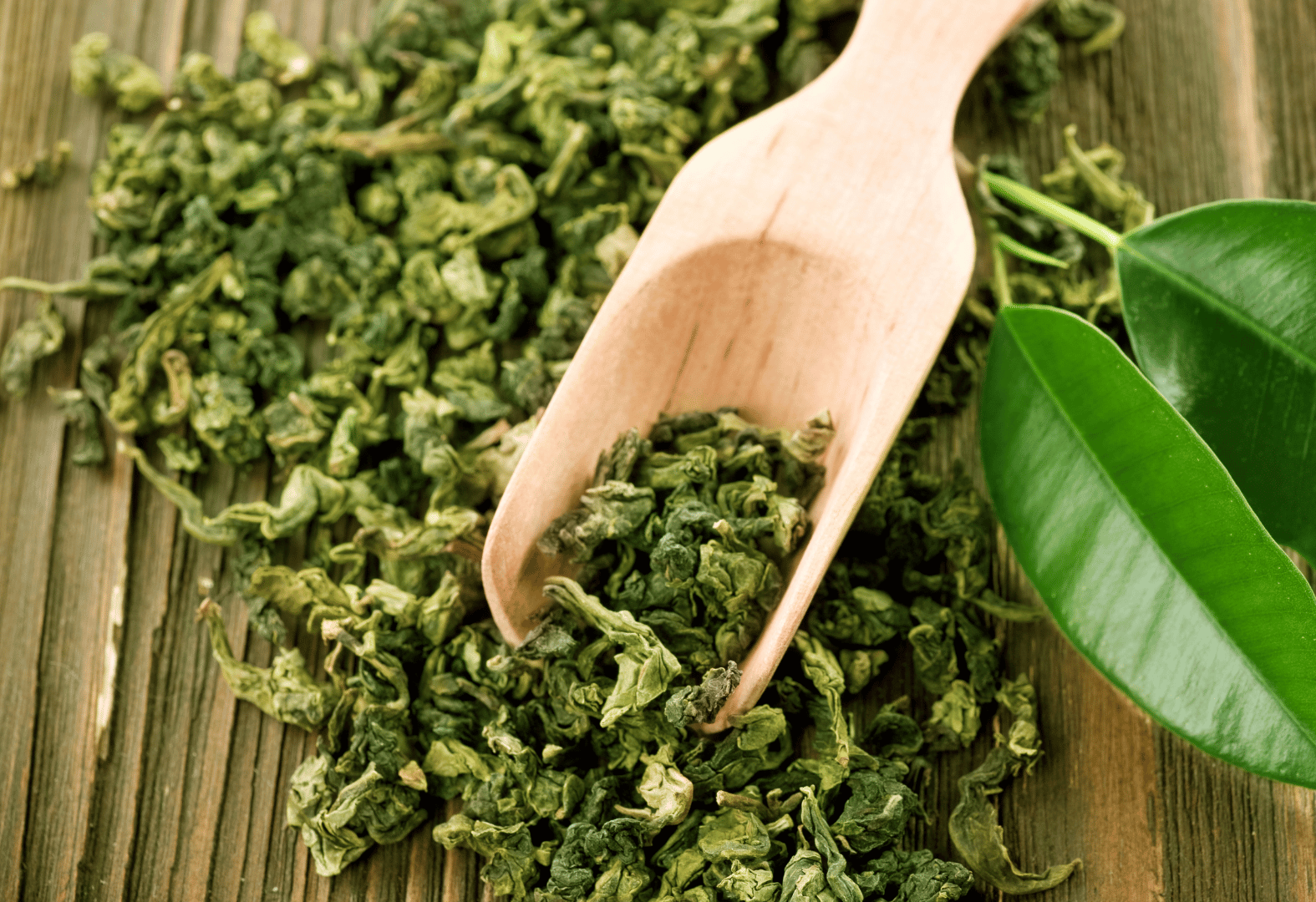 Can Green Tea Protect and Support Your Immune System? 