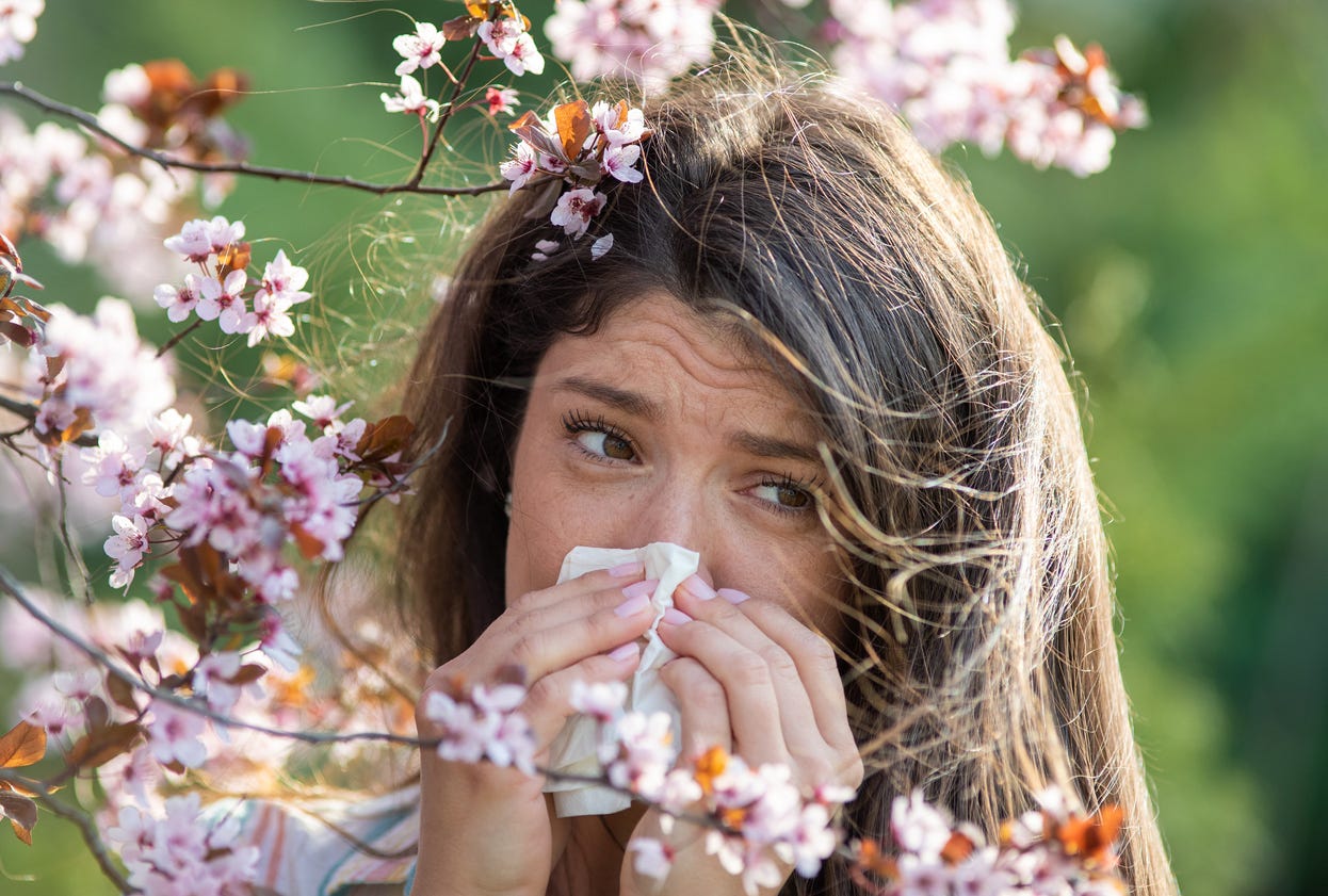 Natural Allergy Relief for Seasonal Allergies