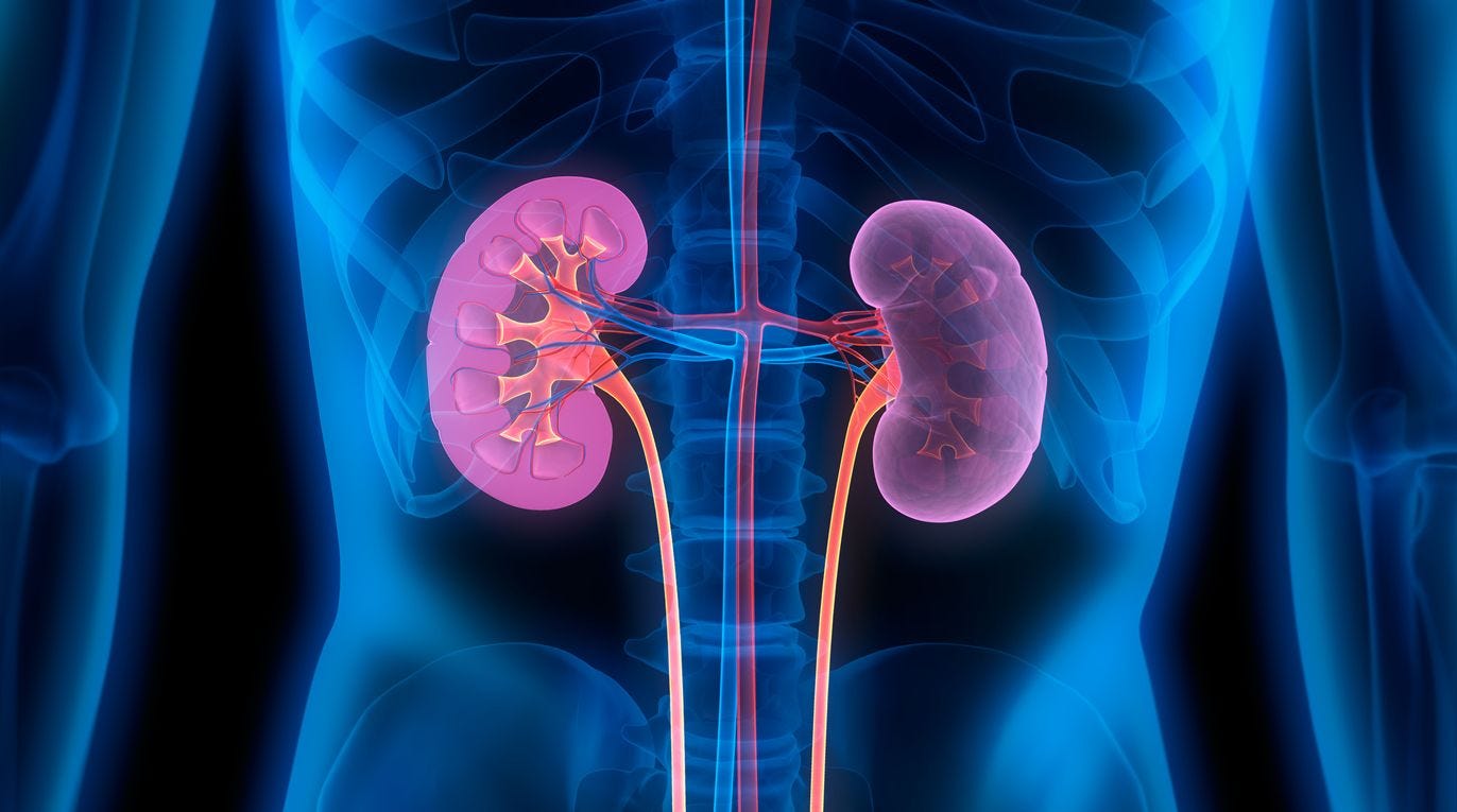 Do You Need a Kidney Cleanse?