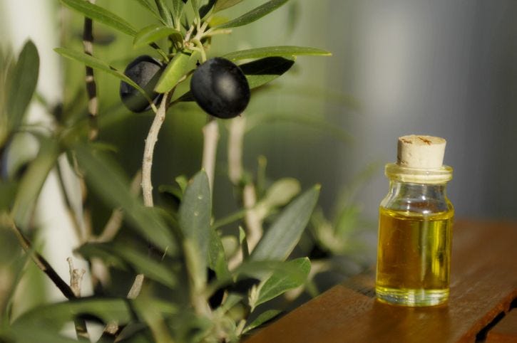 Boost Your Immunity with the Amazing Olive Leaf Extract 