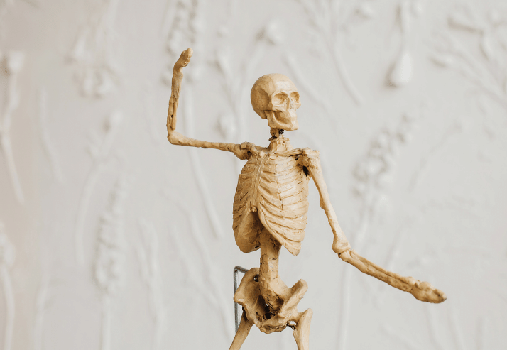 Skeleton Healthy